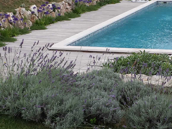 sapore mediterraneo