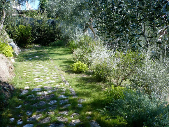 Macchia Mediterranea