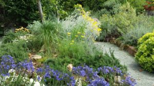 Il Giardino dei tuoi sogni