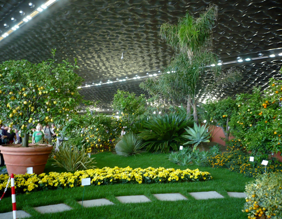 euroflora2011