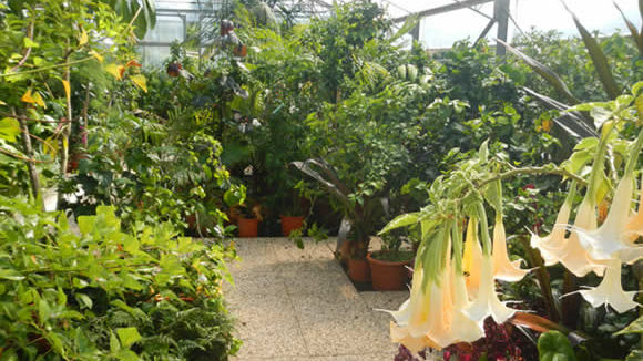 Showroom espositivo